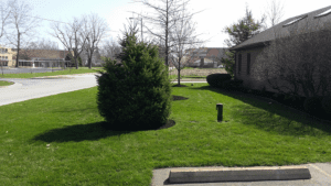 fresh clean lawn care by van dame outdoor maintenance lafayette indiana